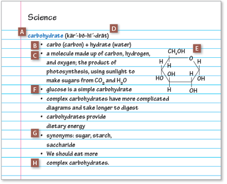 Science
carbohydrate (kär´-bo-hi´-drat)
carbo (carbon) + hydrate (water)
a molecule made up of carbon, hydrogen, 
and oxygen; the product of 
photosynthesis, using sunlight to 
make sugars from CO2 and H2O
glucose is a simple carbohydrate
complex carbohydrates have more complicated 
diagrams and take longer to digest
carbohydrates provide 
dietary energy
synonyms: sugar, starch, 
saccharide
We should eat more 
complex carbohydrates.