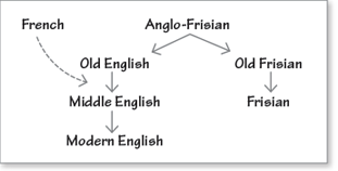 Branching Diagram