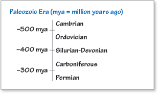 Time Line