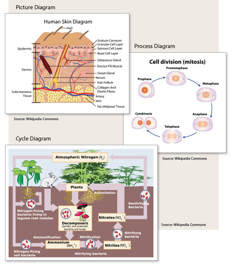 Picture Diagram, Process Diagram, and Cycle Diagram