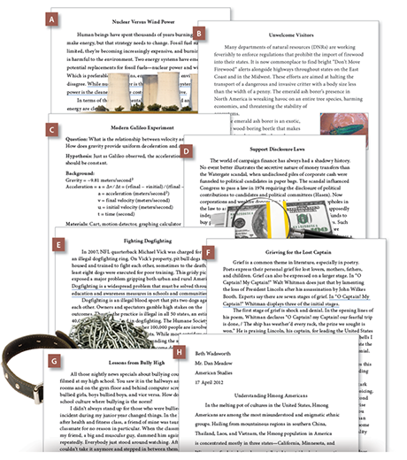 Advanced Writing Project Overview