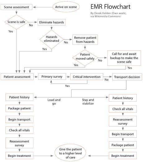 EMR Flowchart by Derek Holden via Wikimedia Commons