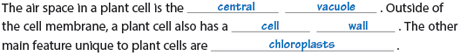 The air space in a plant cell is the . Outside of the cell membrane, a plant cell also has a. The other main feature unique to plant cells are